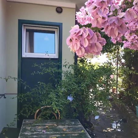 Cielmarino 佐阿利