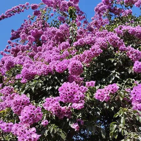 Cielmarino Frühstückspension