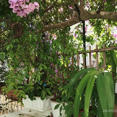 Frühstückspension Cielmarino Zoagli