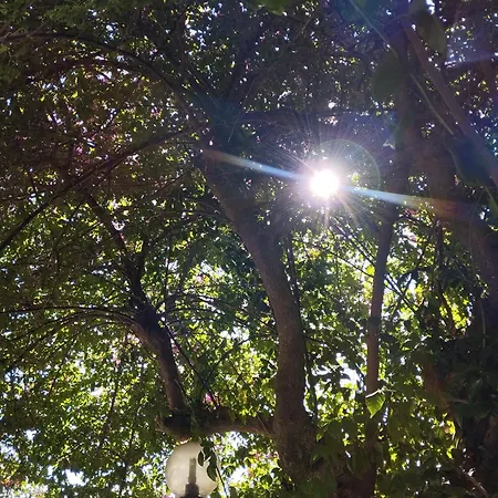 Cielmarino 3* Zoagli