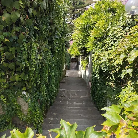 Cielmarino 3* Zoagli