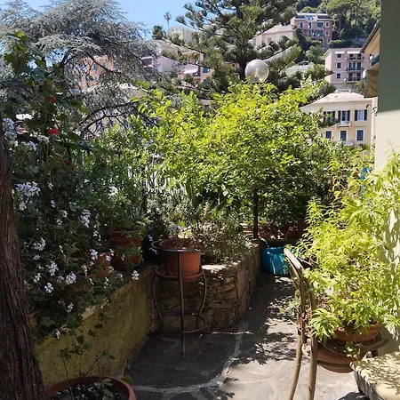 Cielmarino Zoagli