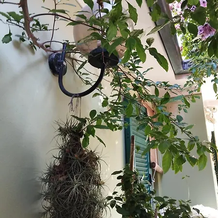 Frühstückspension Cielmarino 3*