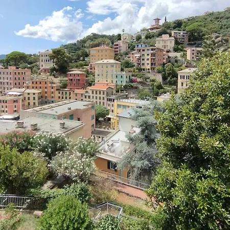 Cielmarino